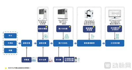 德適IPO上市首日開盤大漲121%，醫療影像AI迎來“大模型時代”新標桿