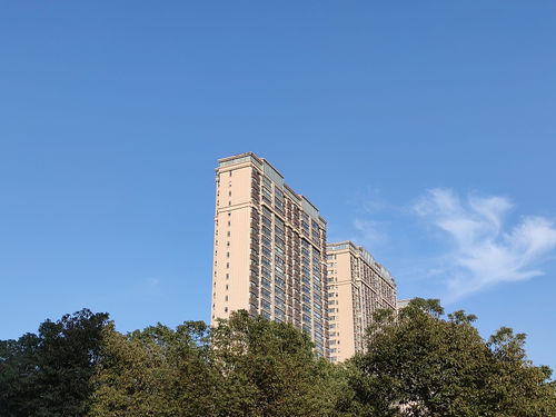 建筑學(xué)家提醒 一樓和頂樓不是最坑，這“三個(gè)樓層”才真正要想辦法避開(kāi)